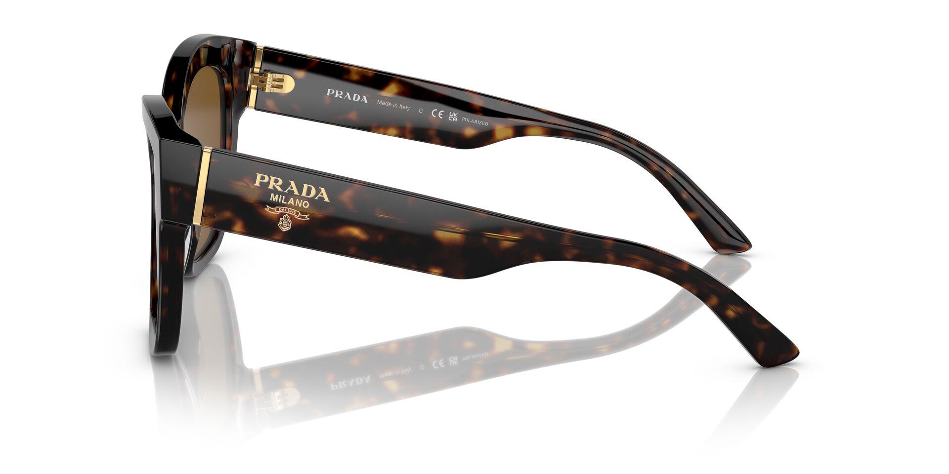 PR 17ZS Tortoise/Polar Dark Brown/Polarized M