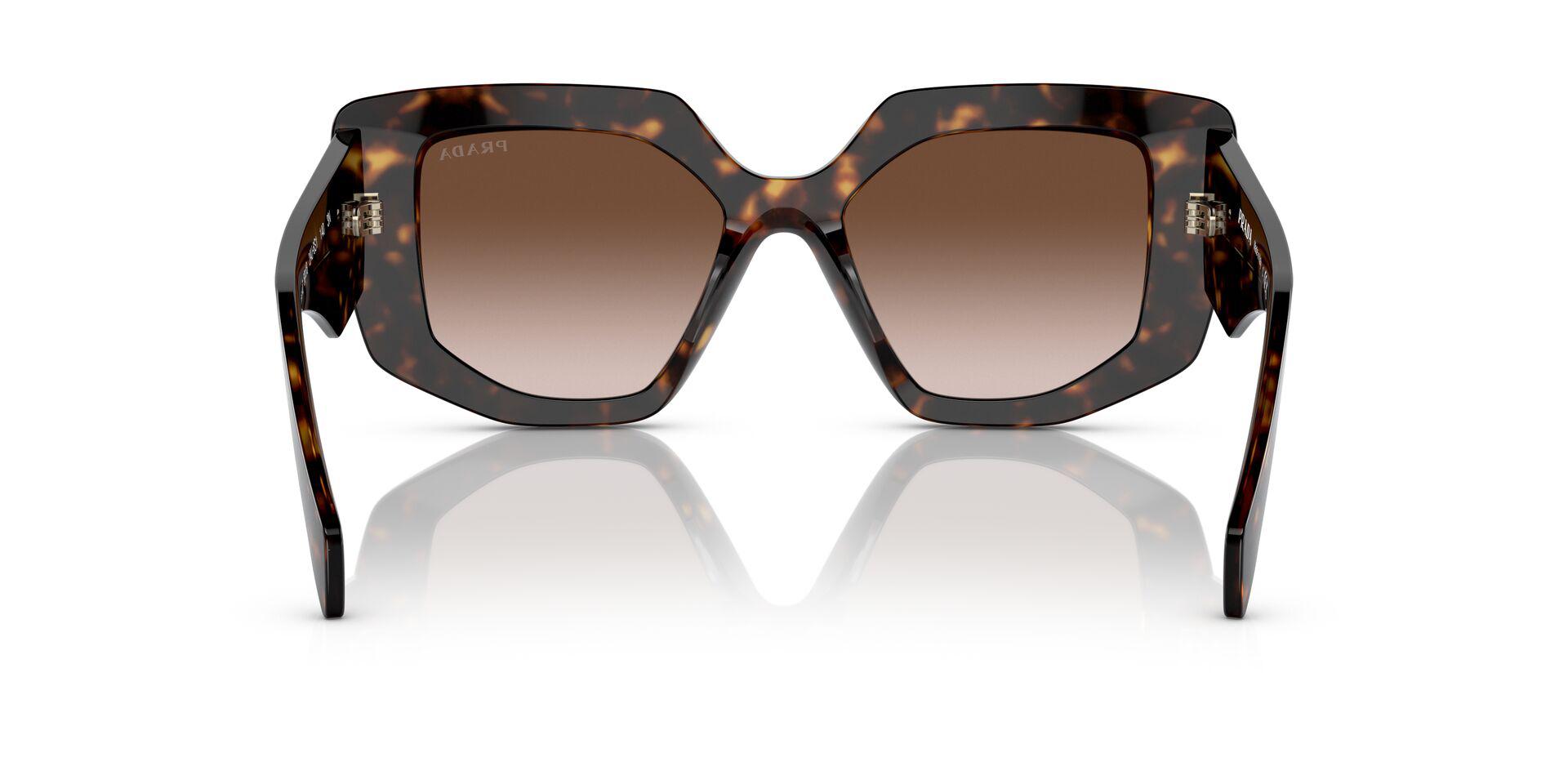 PR 14ZS Tortoise/Brown Gradient M