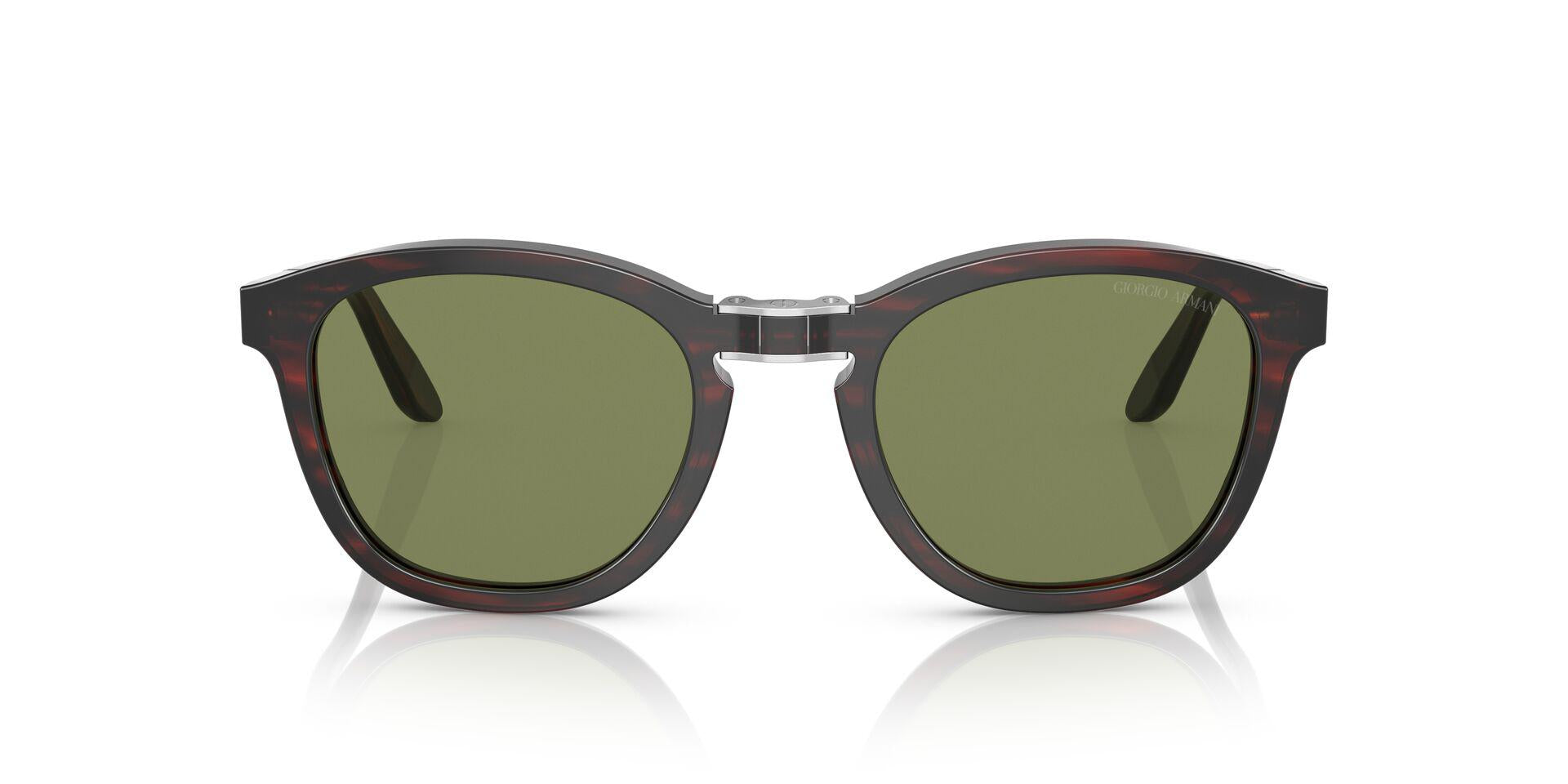 AR8170 Tortoise/Bottle Green S
