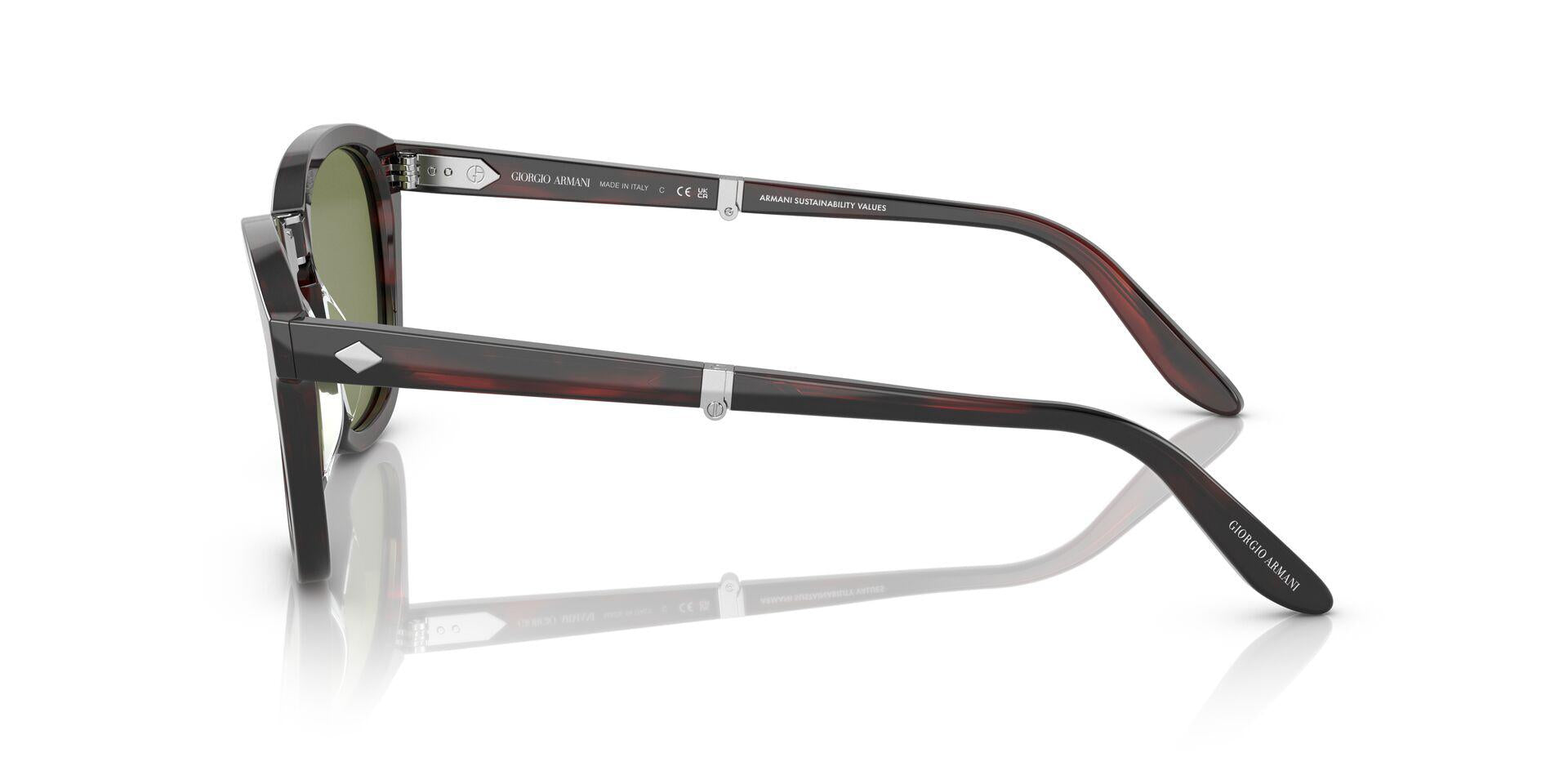 AR8170 Tortoise/Bottle Green S