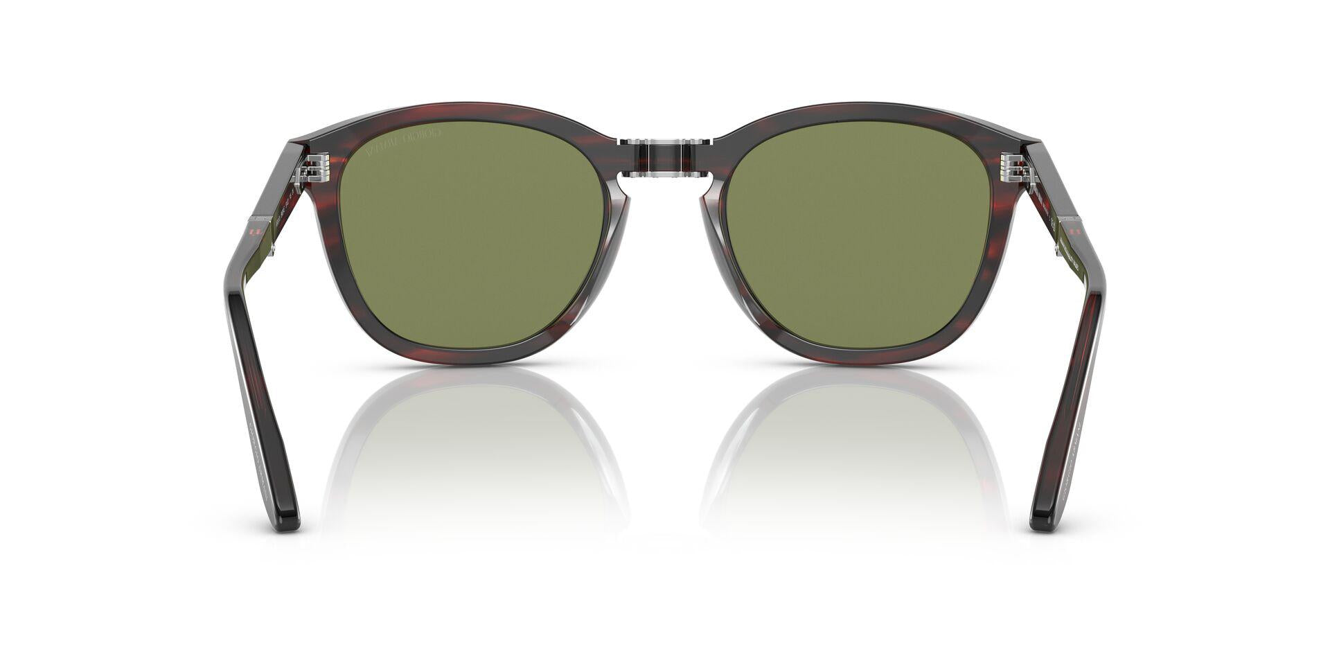 AR8170 Tortoise/Bottle Green S