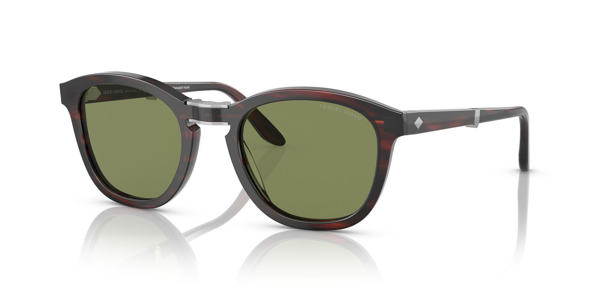 AR8170 Tortoise/Bottle Green S