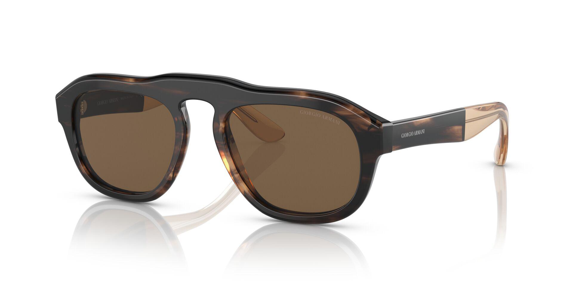 AR8173 Brown/Dark Brown S