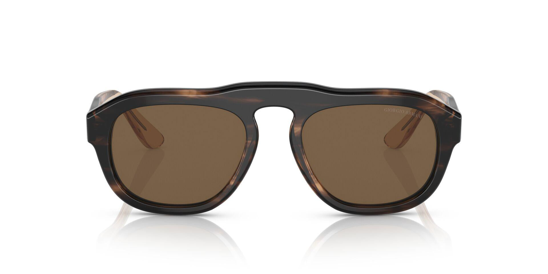 AR8173 Brown/Dark Brown S