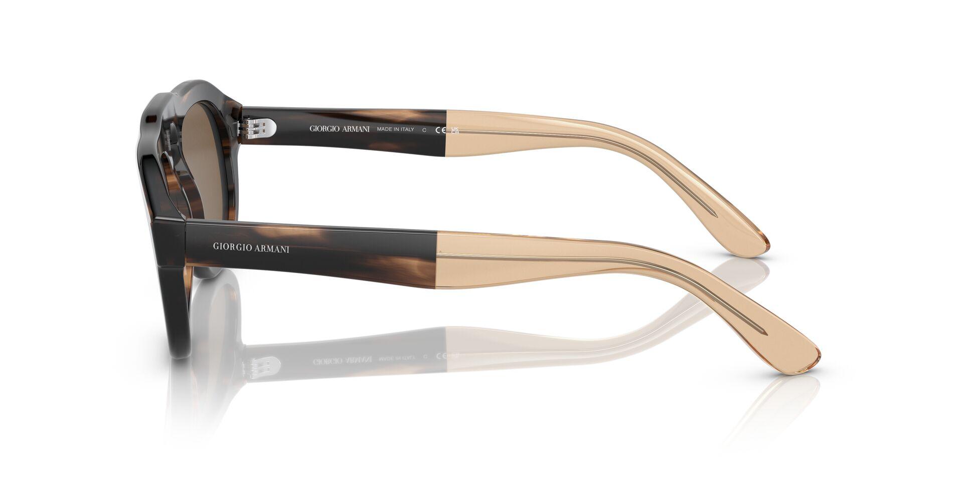 AR8173 Brown/Dark Brown S