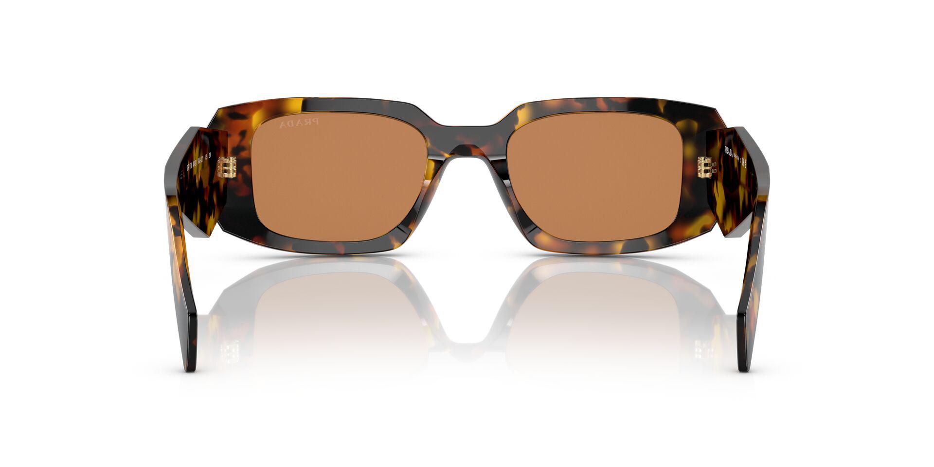PR 17WS Tortoise/Dark Brown S