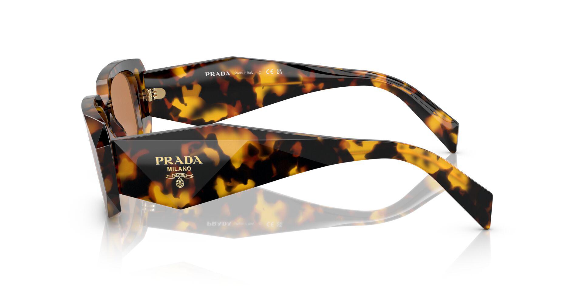 PR 17WS Tortoise/Dark Brown S