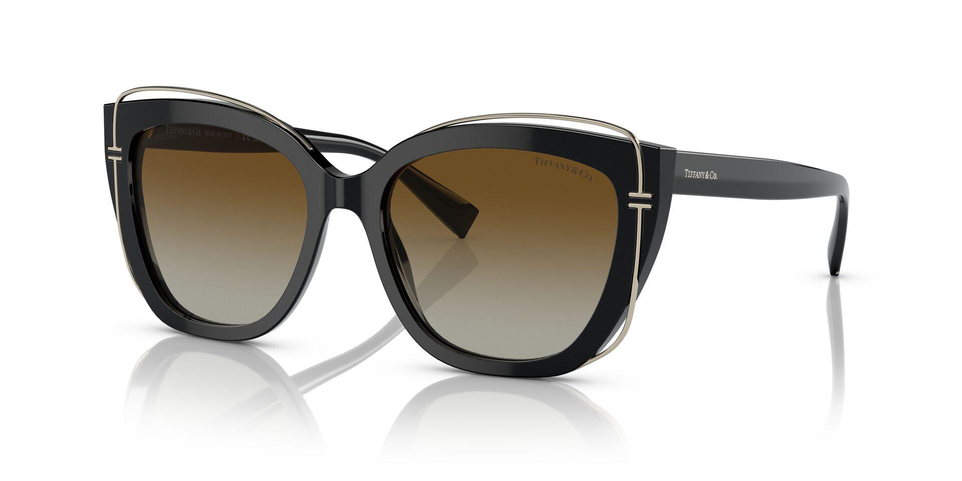 TF4148 Black/Polar Brown Gradient/Polarized M