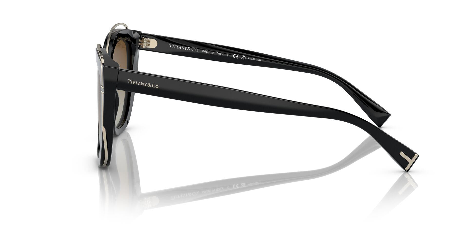 TF4148 Black/Polar Brown Gradient/Polarized M