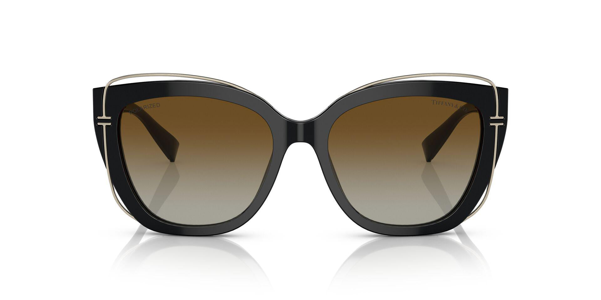 TF4148 Black/Polar Brown Gradient/Polarized M