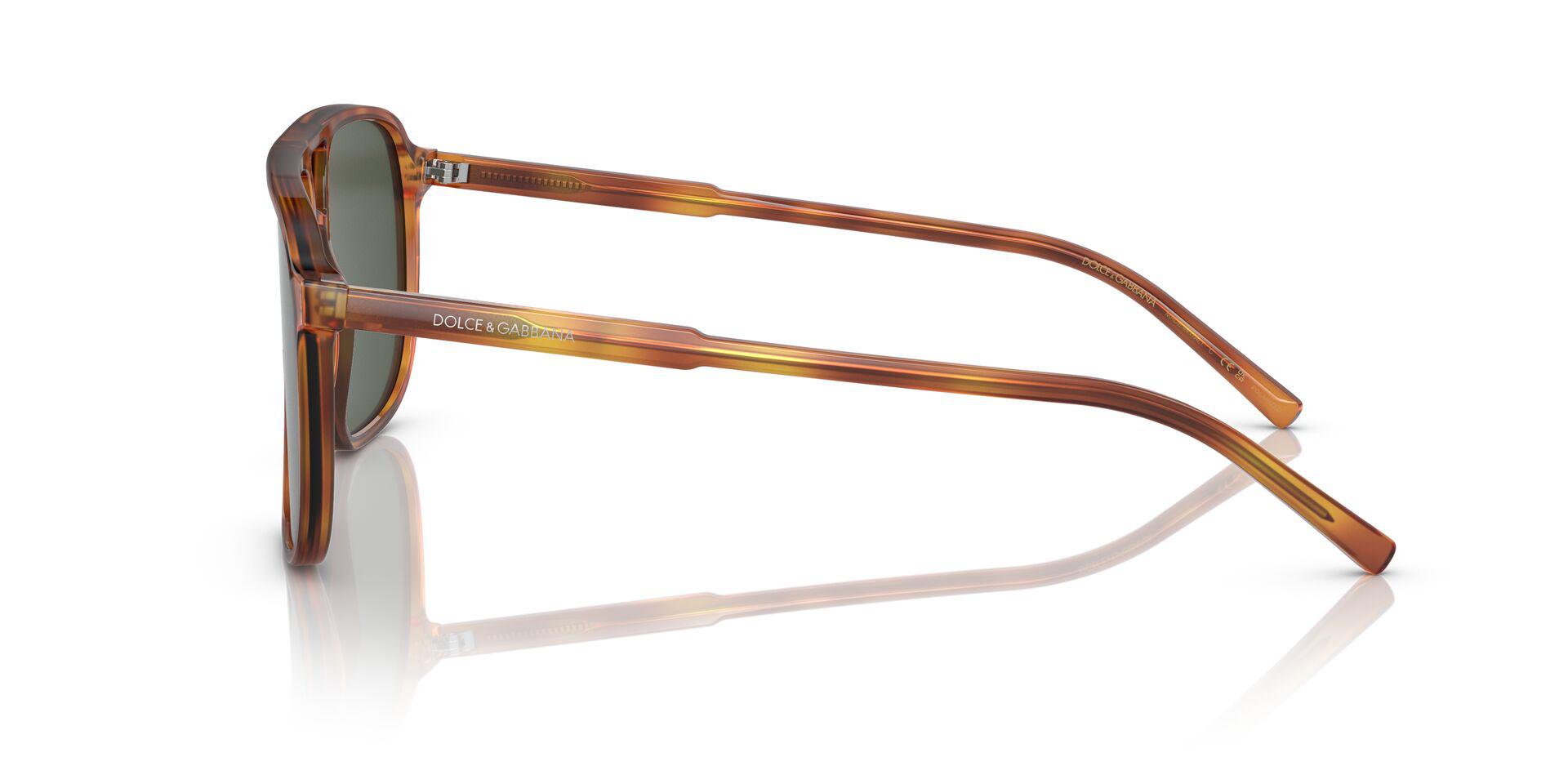 DG4423 Tortoise/Dark Green Polarized XL