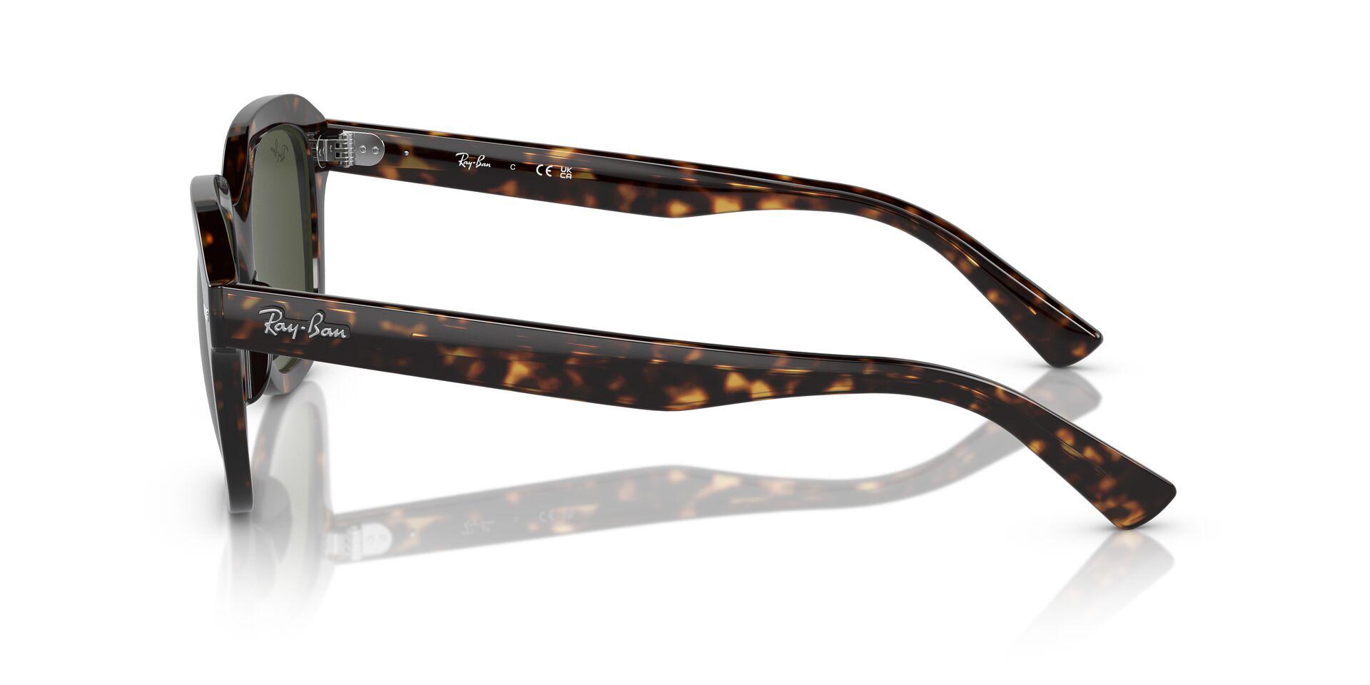 RB4398 Tortoise/Green L