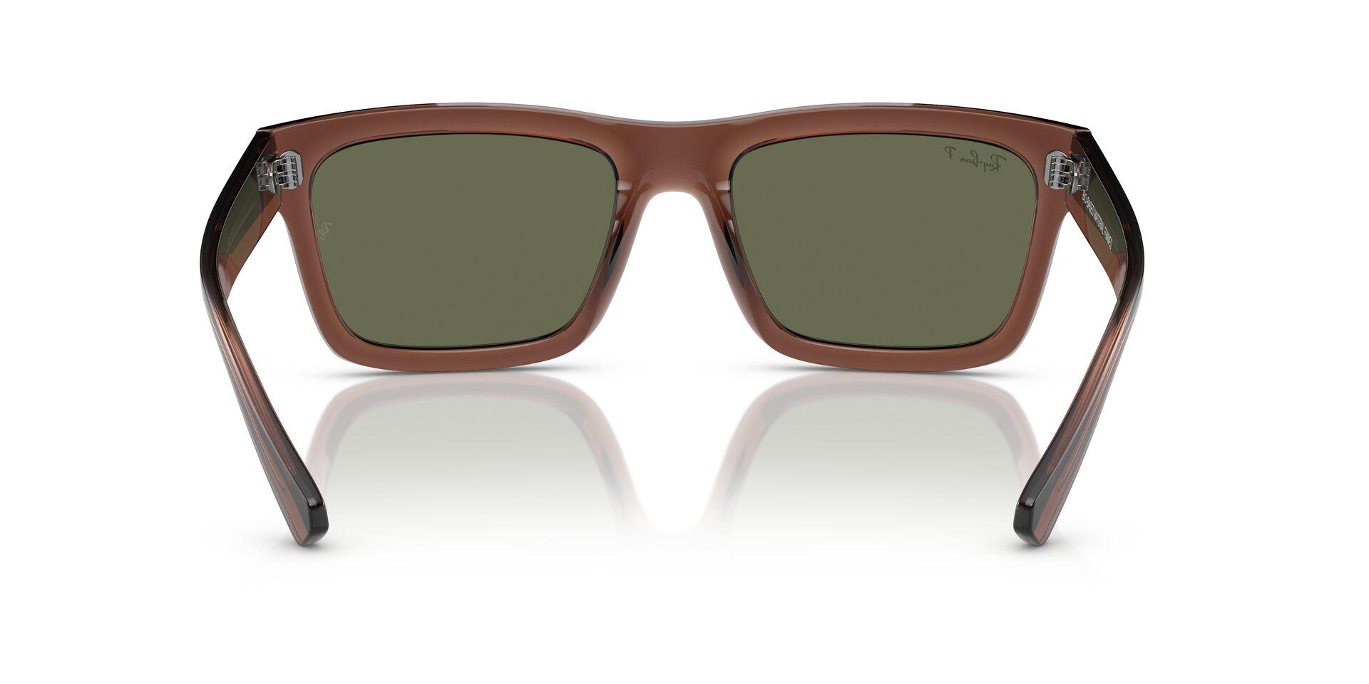 RB4396 Brown/Dark Green/Polarized XL