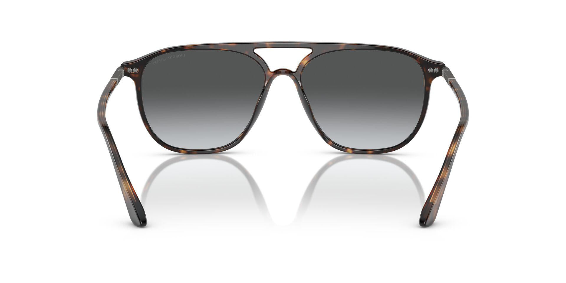 AR8179 Tortoise/Gradient Grey/Polarized XL