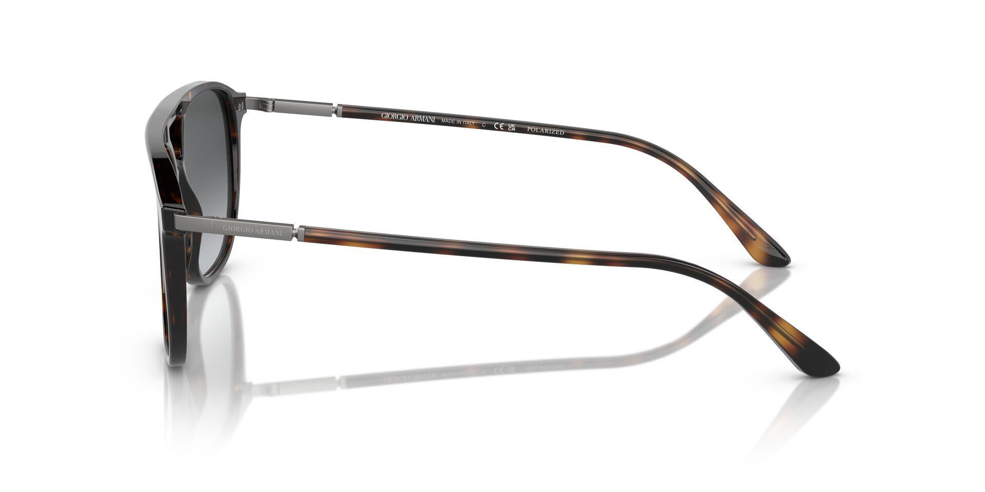 AR8179 Tortoise/Gradient Grey/Polarized XL