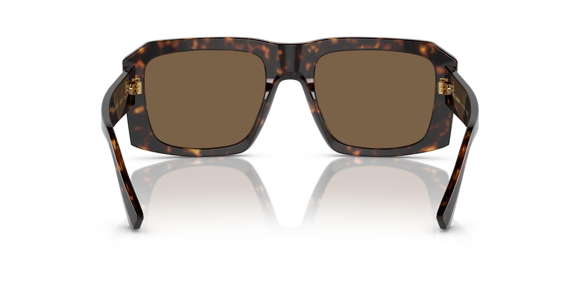DG4430 Tortoise/Dark Brown M