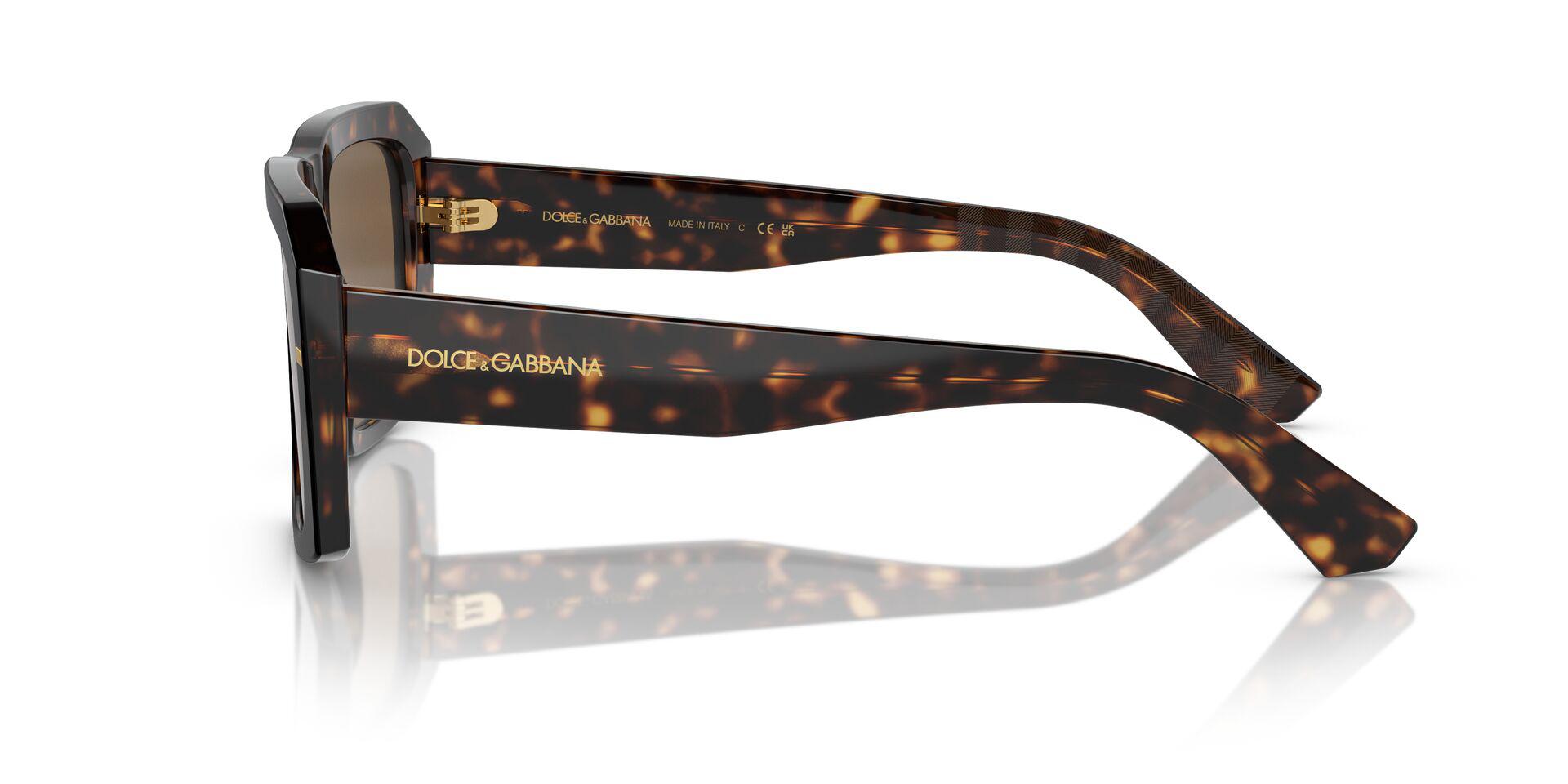 DG4430 Tortoise/Dark Brown M