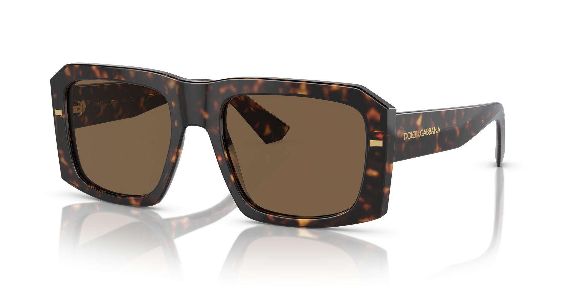 DG4430 Tortoise/Dark Brown M