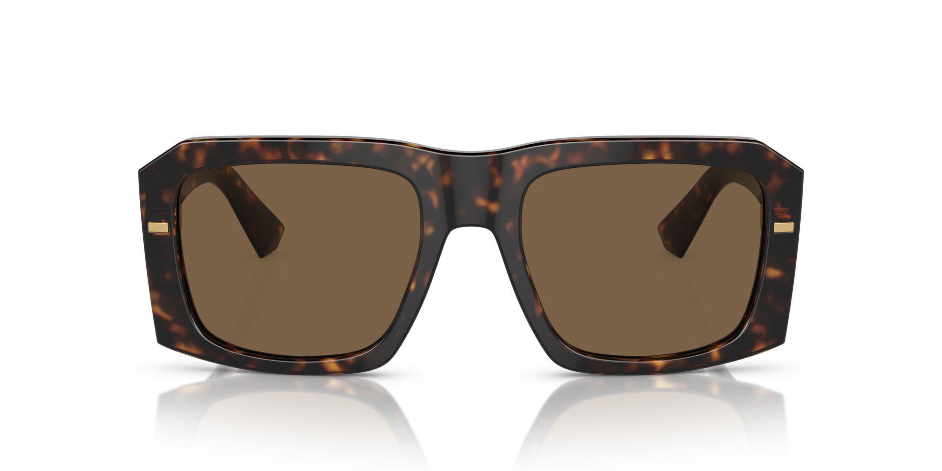 DG4430 Tortoise/Dark Brown M
