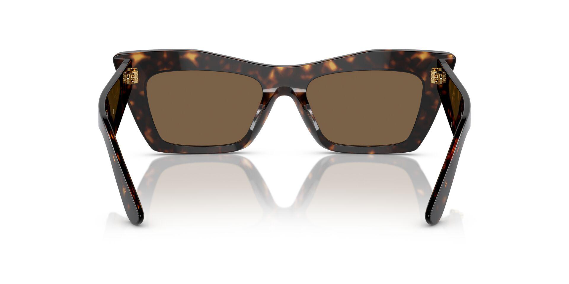 DG4435 Tortoise/Dark Brown M
