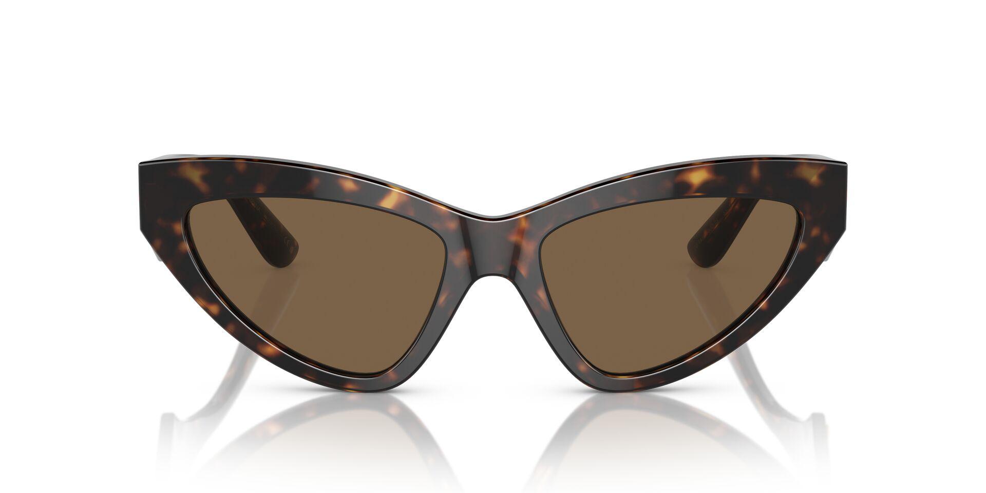 DG4439 Tortoise/Dark Brown L
