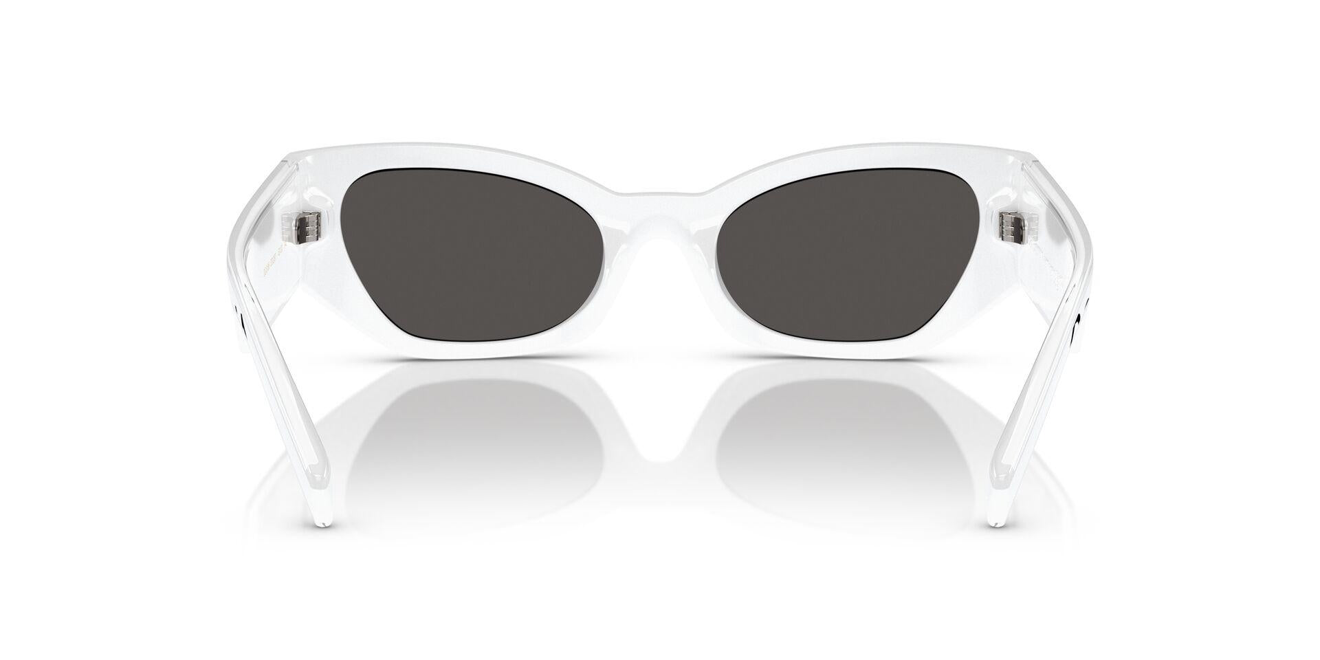 DG6186 Transparent/Dark Grey M