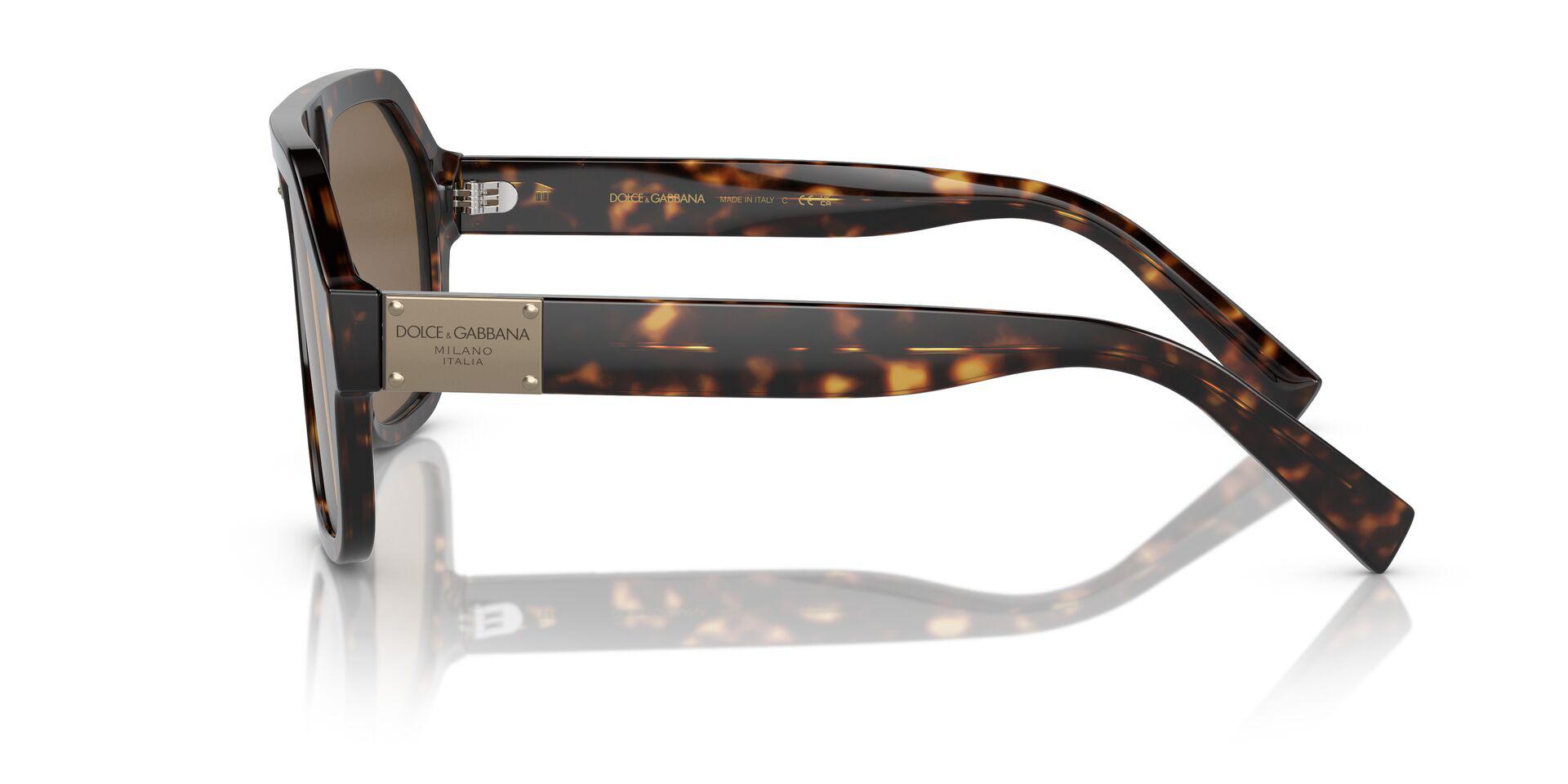 DG4433 Tortoise/Dark Brown L