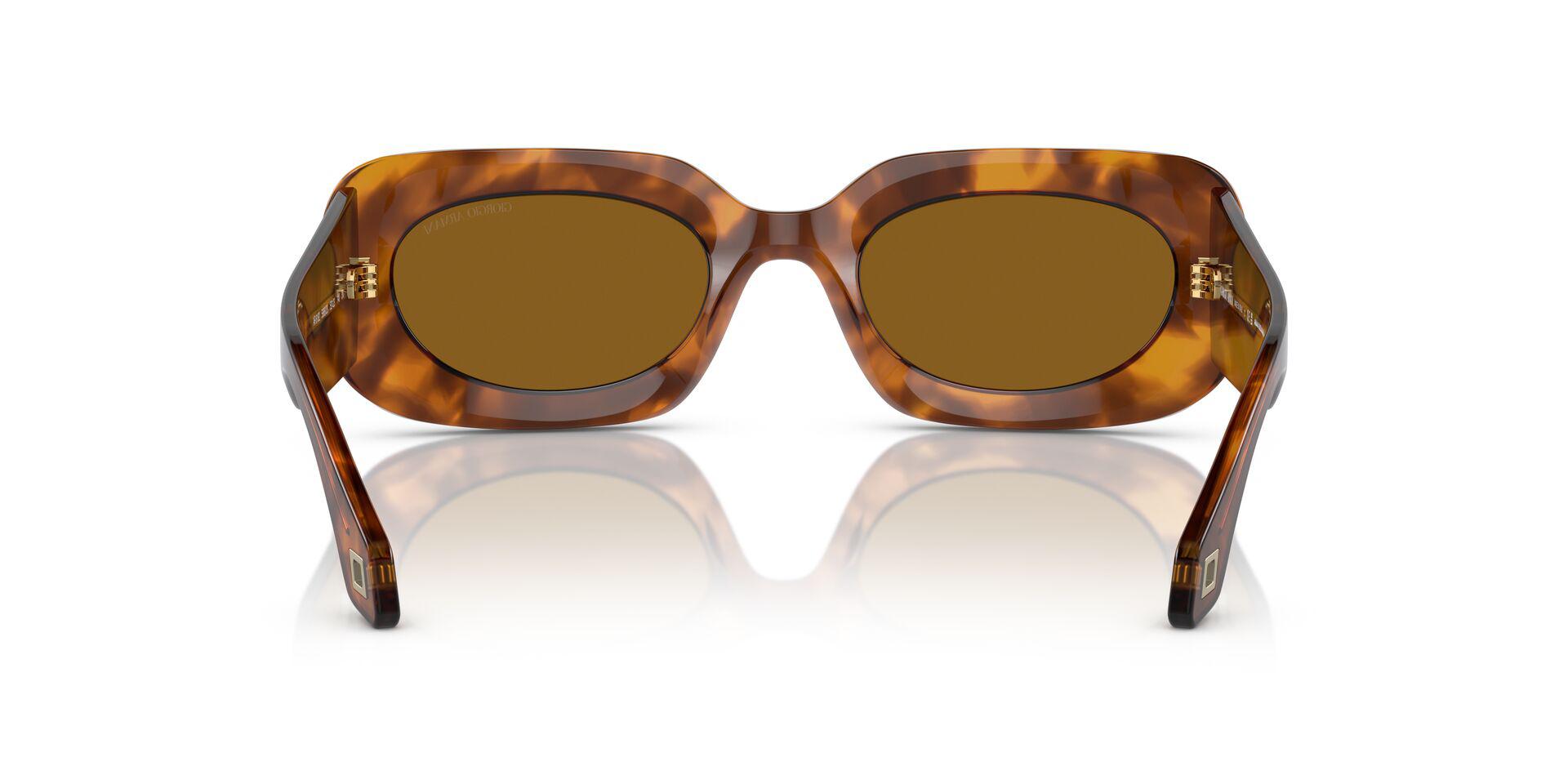 AR8182 Red/Brown M