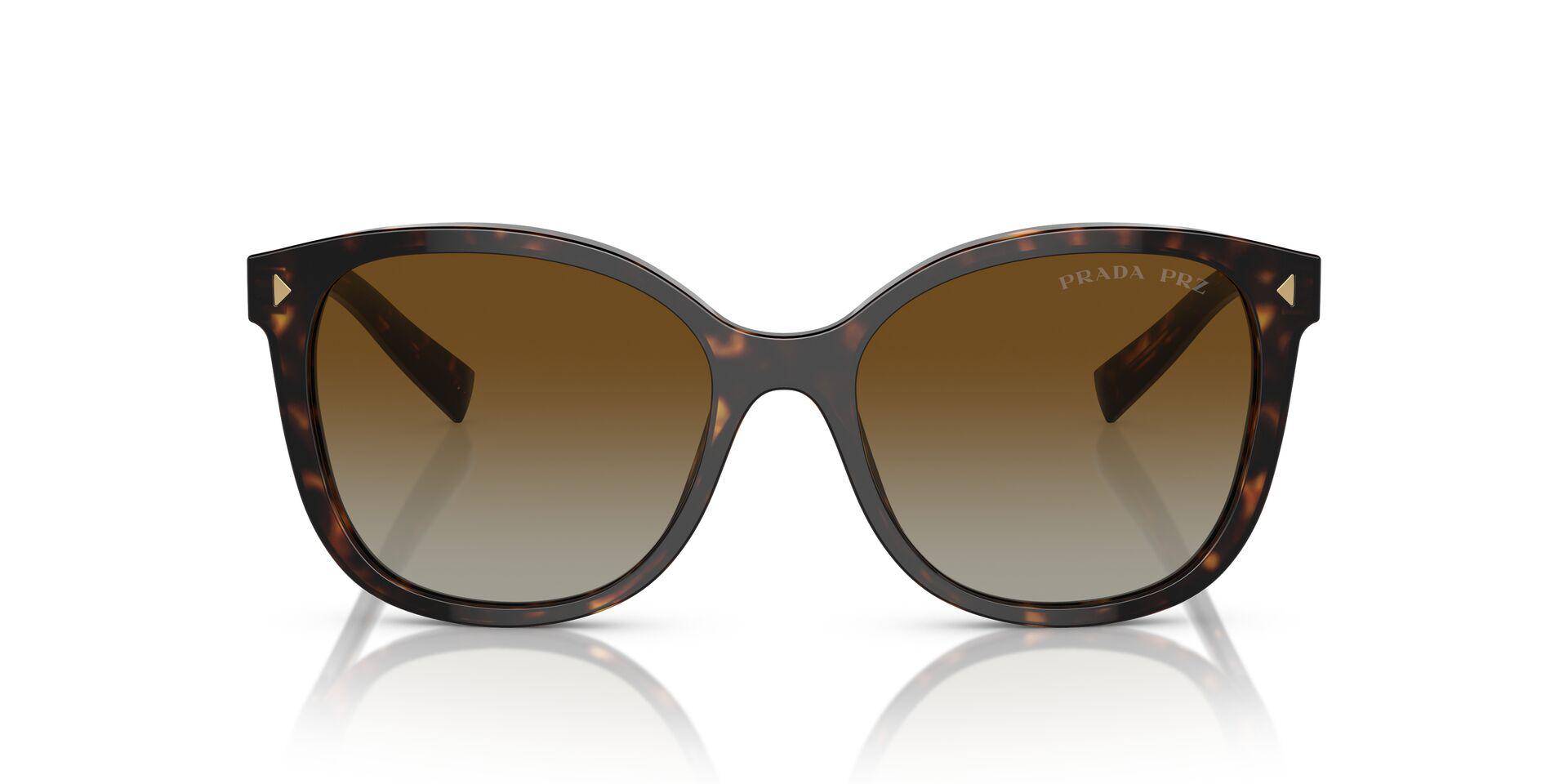 PR 22ZS Tortoise/Polar Brown Gradient/Polarized S