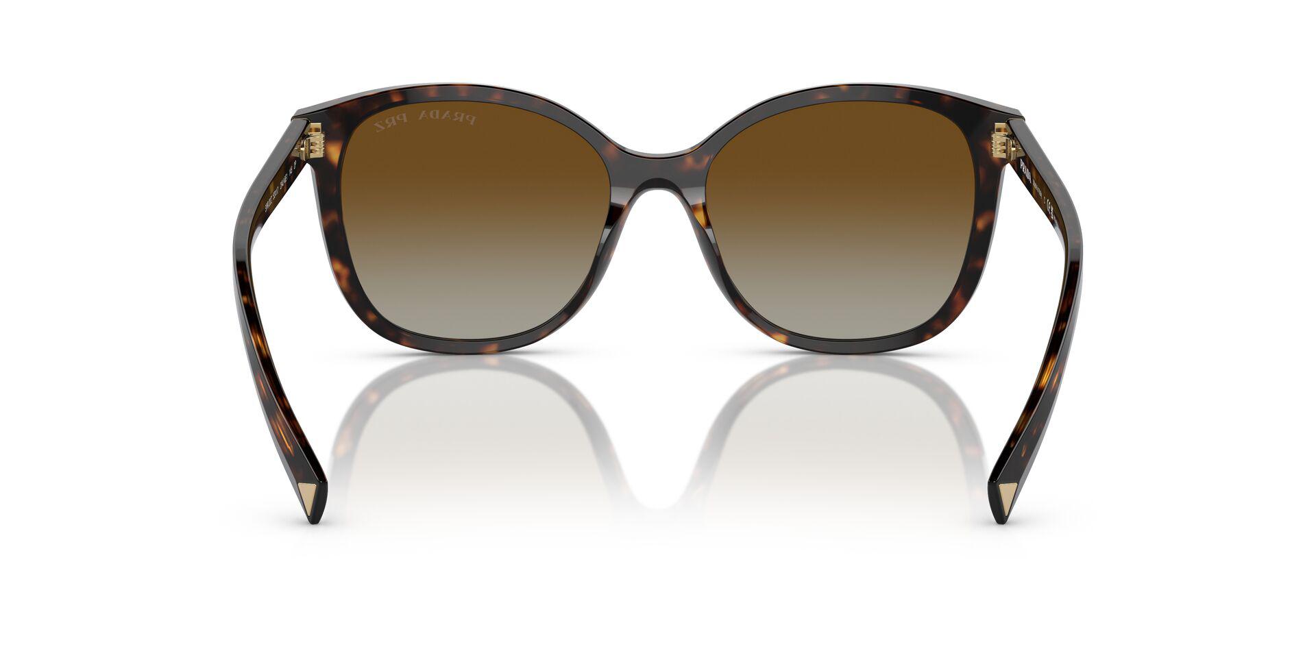 PR 22ZS Tortoise/Polar Brown Gradient/Polarized S