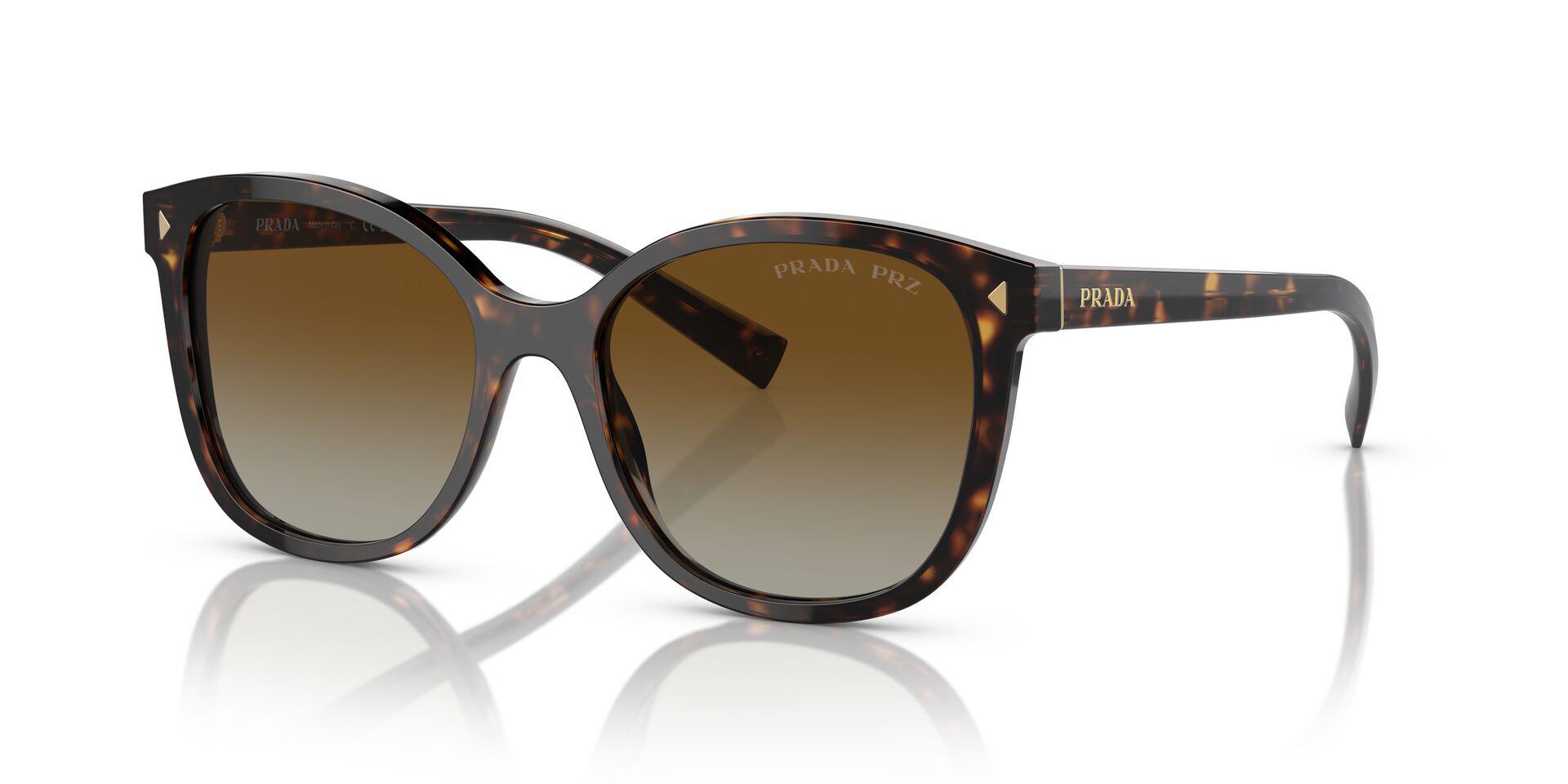 PR 22ZS Tortoise/Polar Brown Gradient/Polarized S