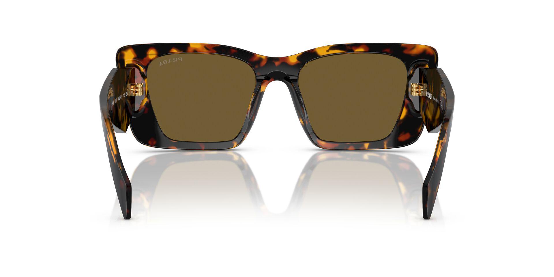 PR 08YS Tortoise/Dark Brown XS