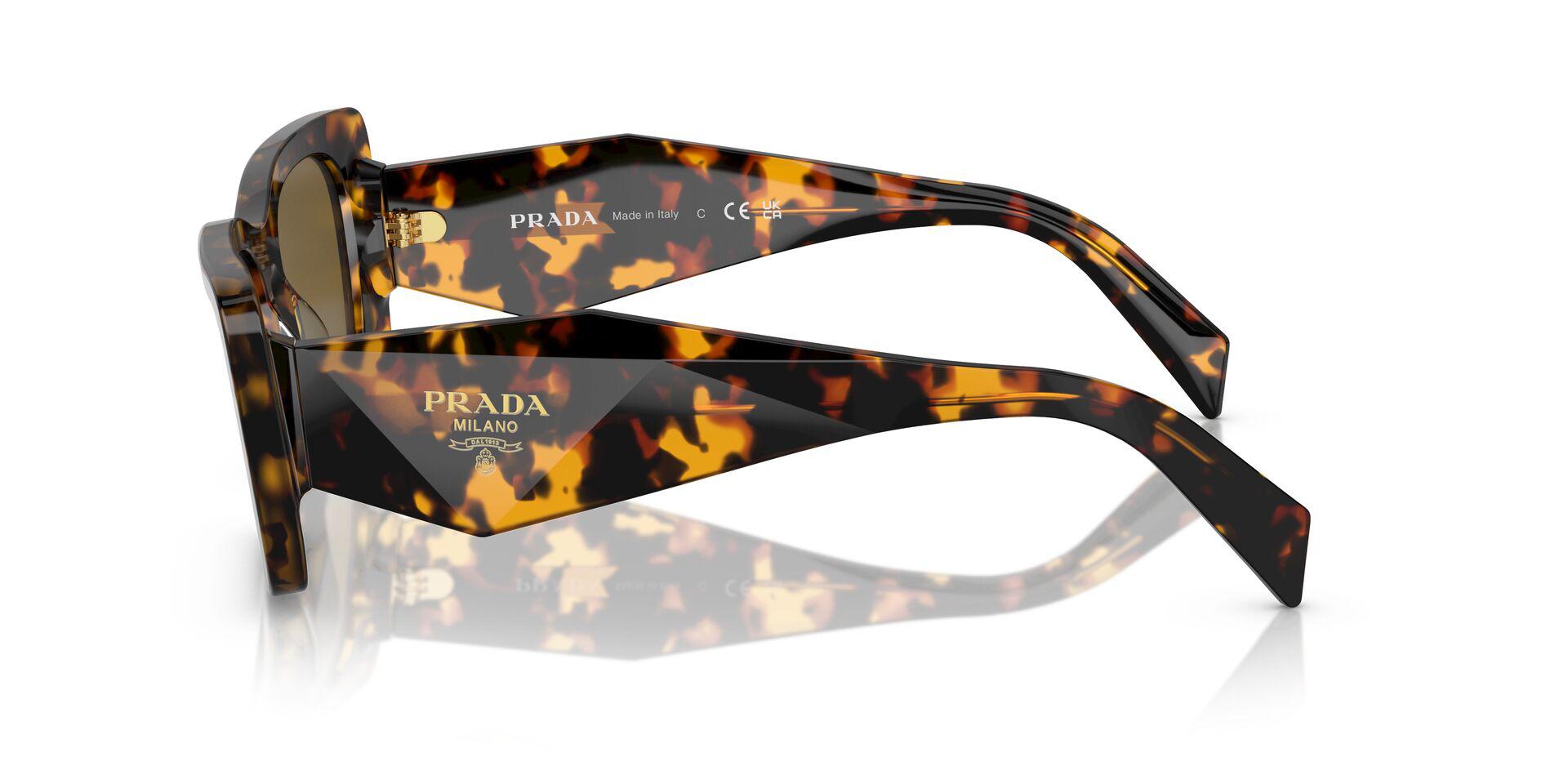 PR 08YS Tortoise/Dark Brown XS