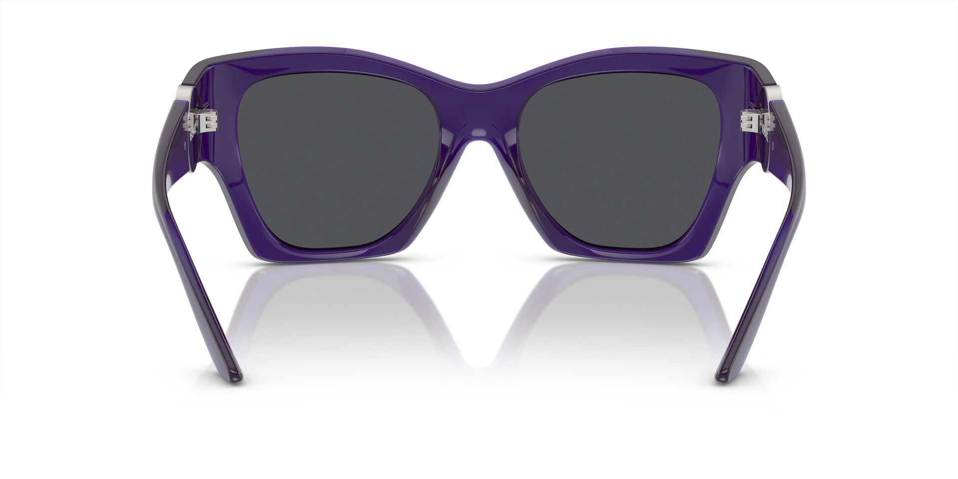 VE4452 Violet/Dark Grey L
