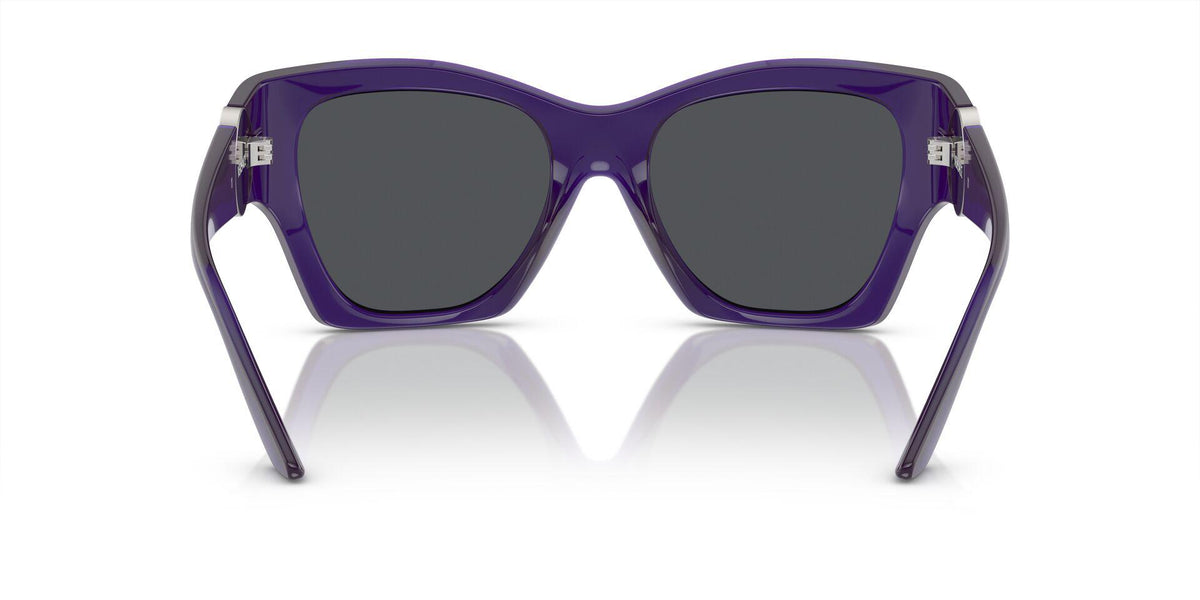 VE4452 Violet/Dark Grey L