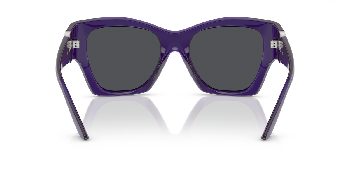 VE4452 Violet/Dark Grey L