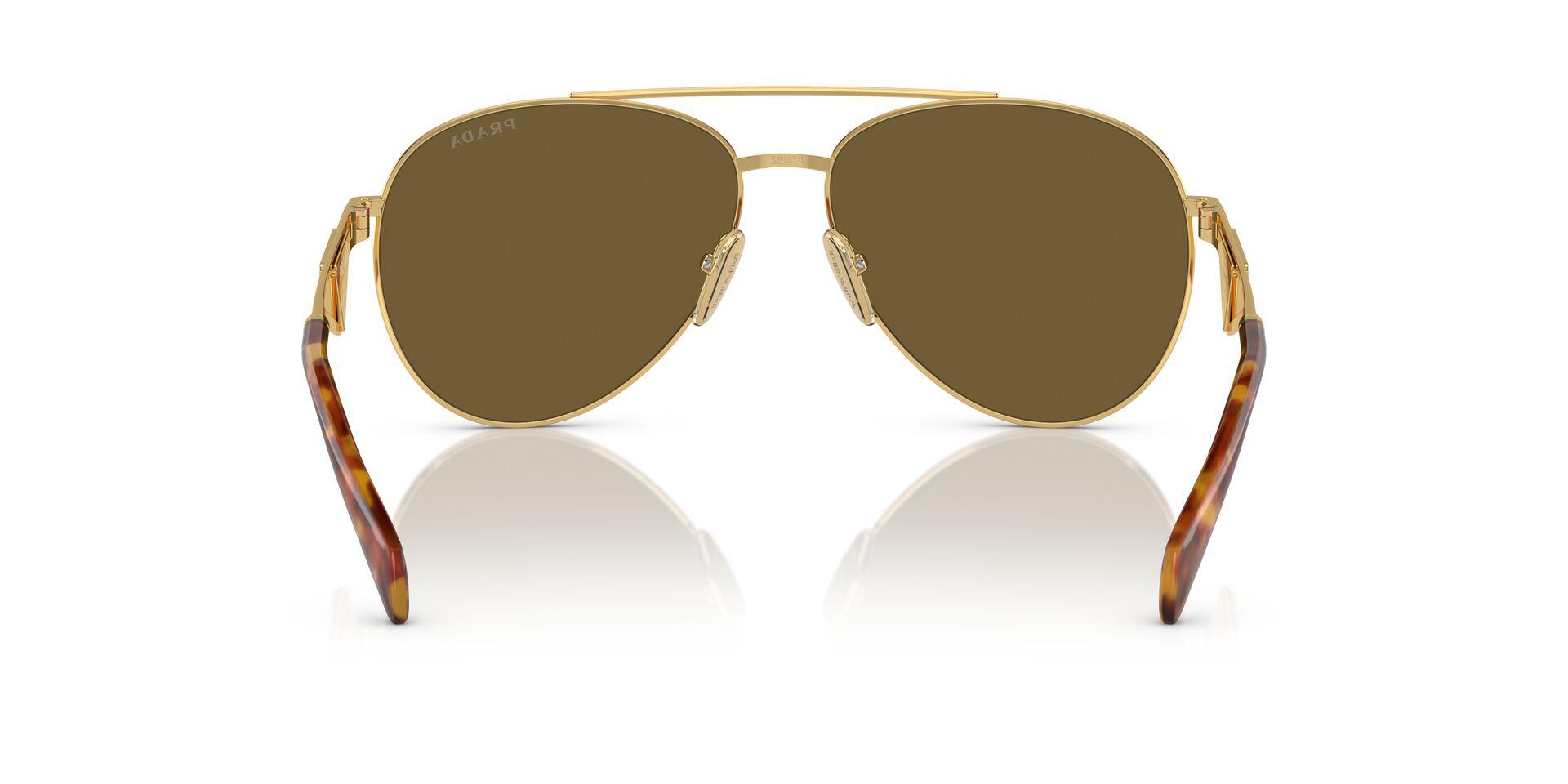 PR 73ZS Gold/Dark Brown XL