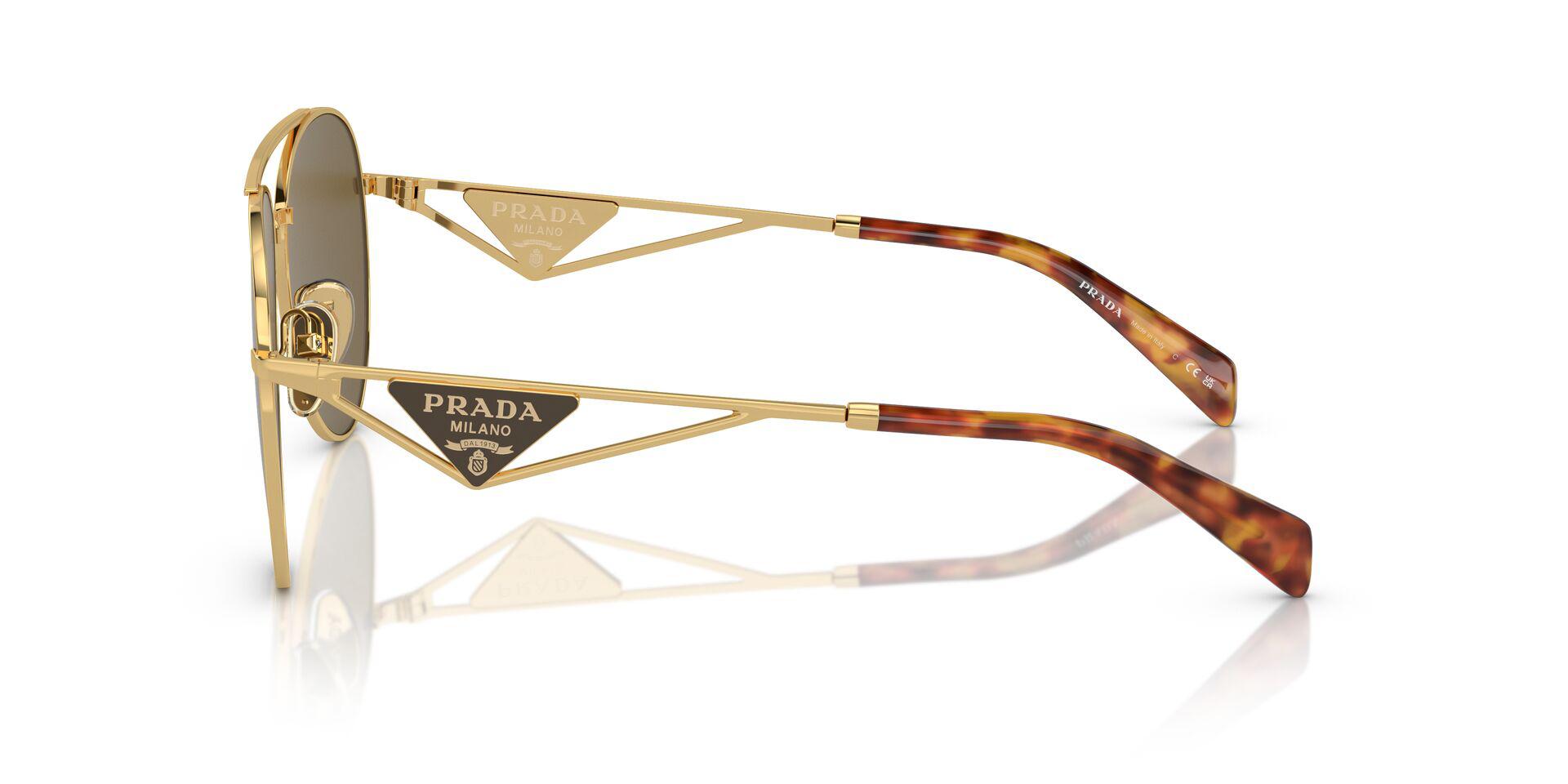 PR 73ZS Gold/Dark Brown XL