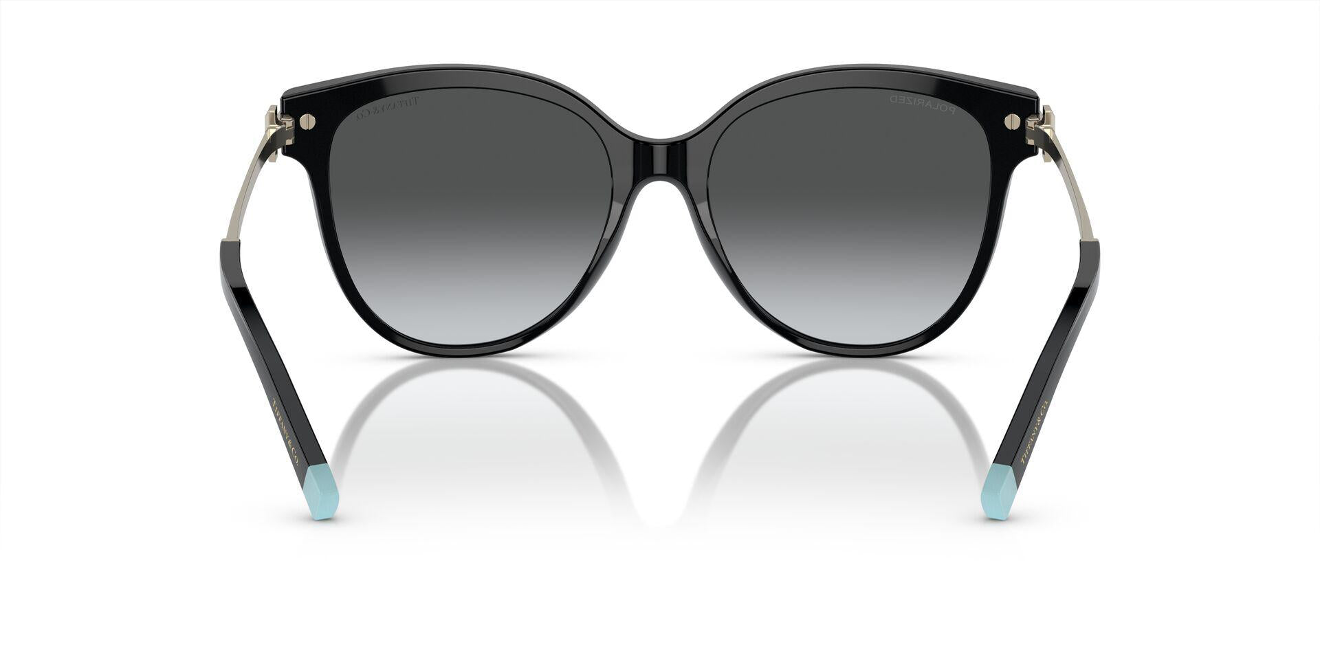 TF4193B Gold/Polar Grey Gradient/Polarized XL