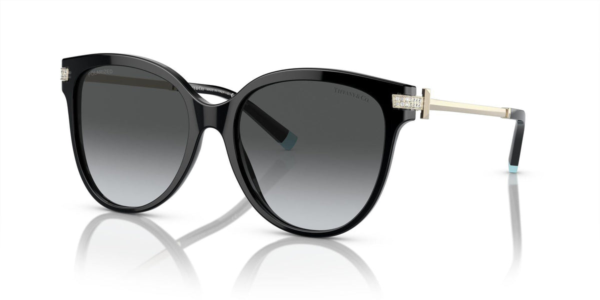 TF4193B Gold/Polar Grey Gradient/Polarized XL