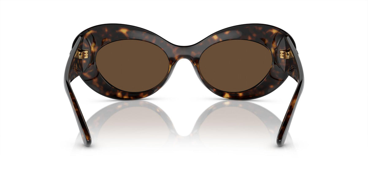 VE4456U Tortoise/Dark Brown M
