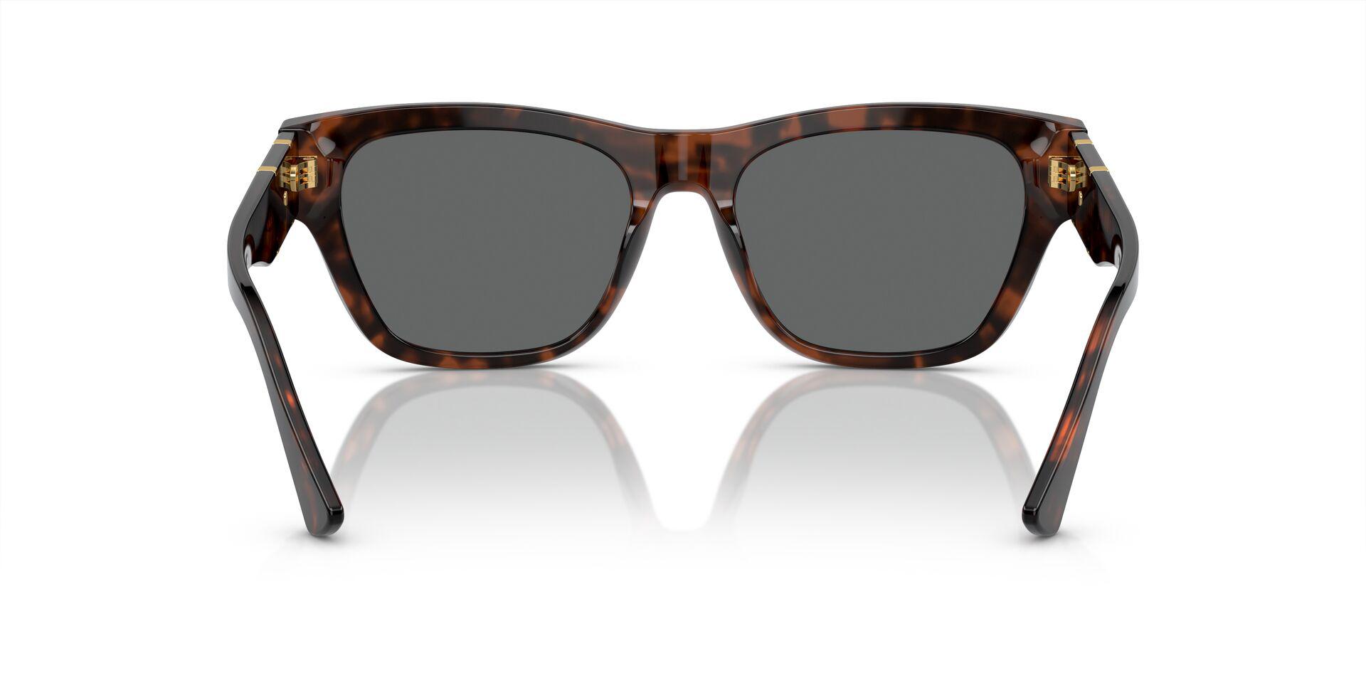 VE4457 Tortoise/Dark Grey L