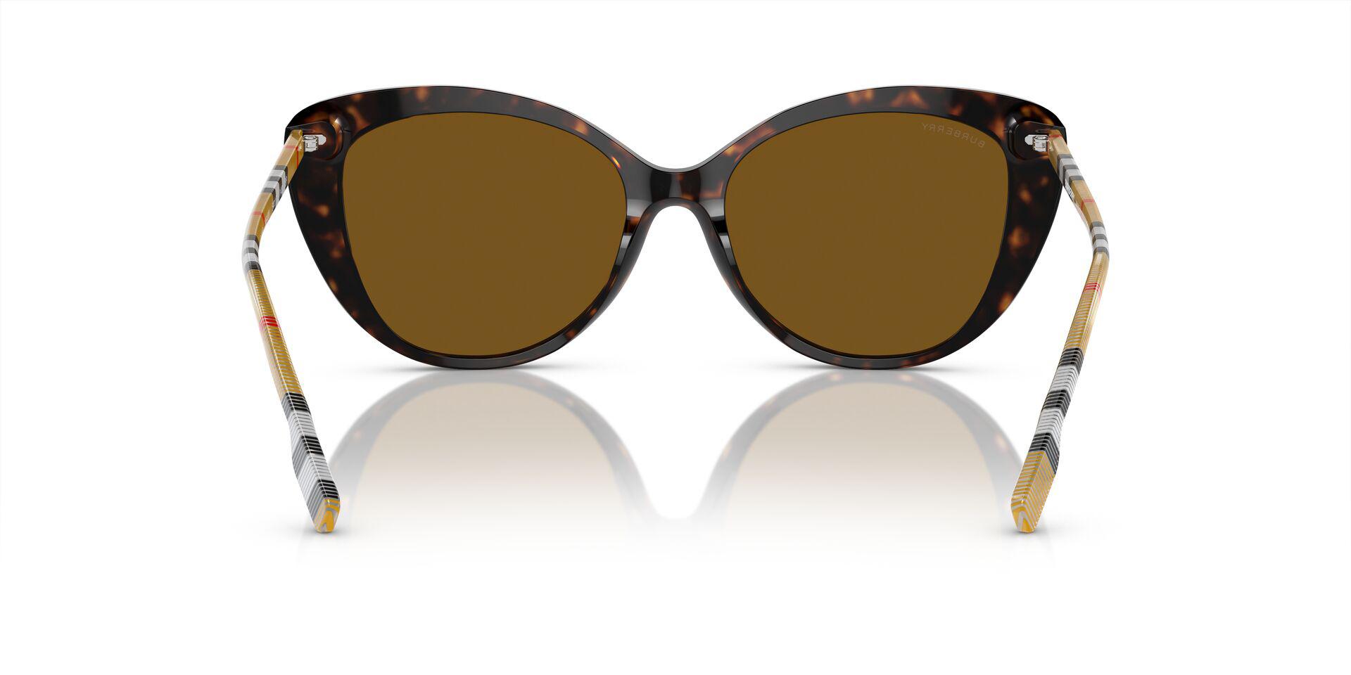 BE4407 Brown/Brown Polar/Polarized M