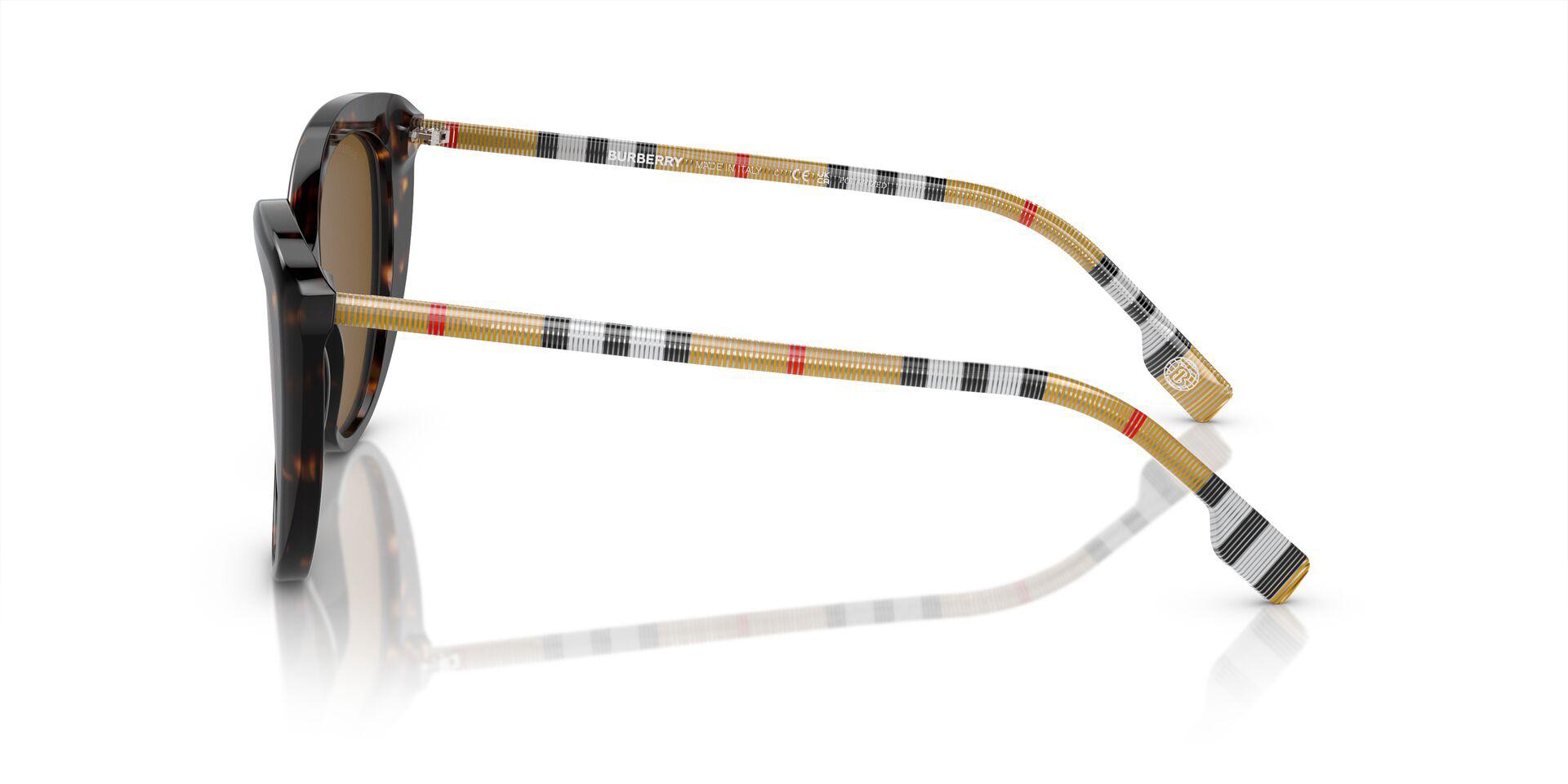 BE4407 Brown/Brown Polar/Polarized M