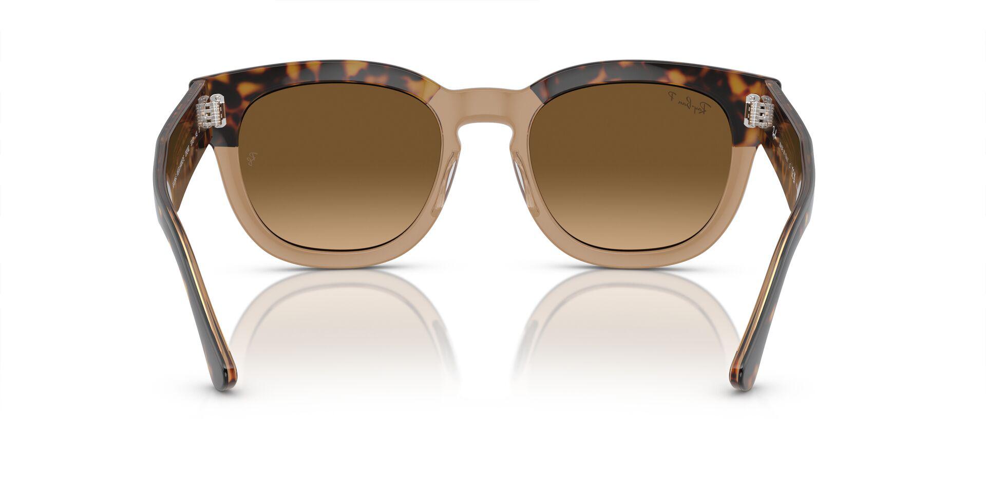 RB0298S Gold/Brown/Polarized L