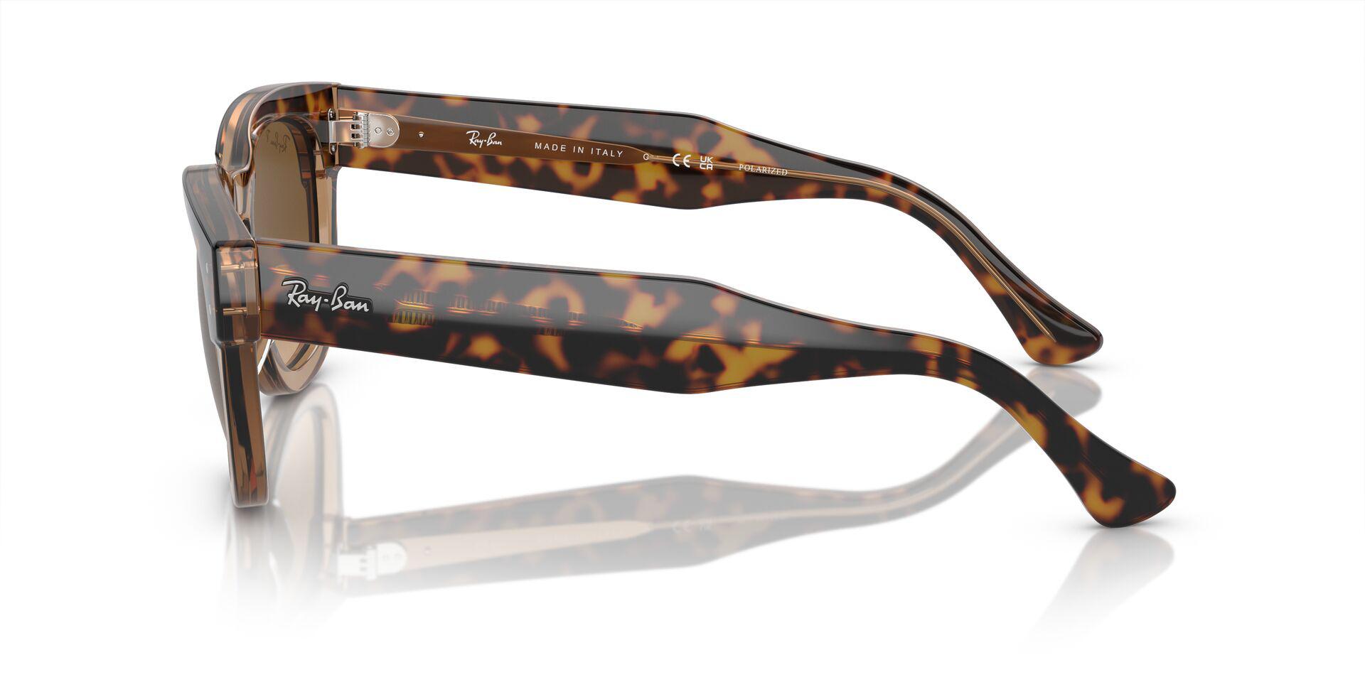 RB0298S Gold/Brown/Polarized L
