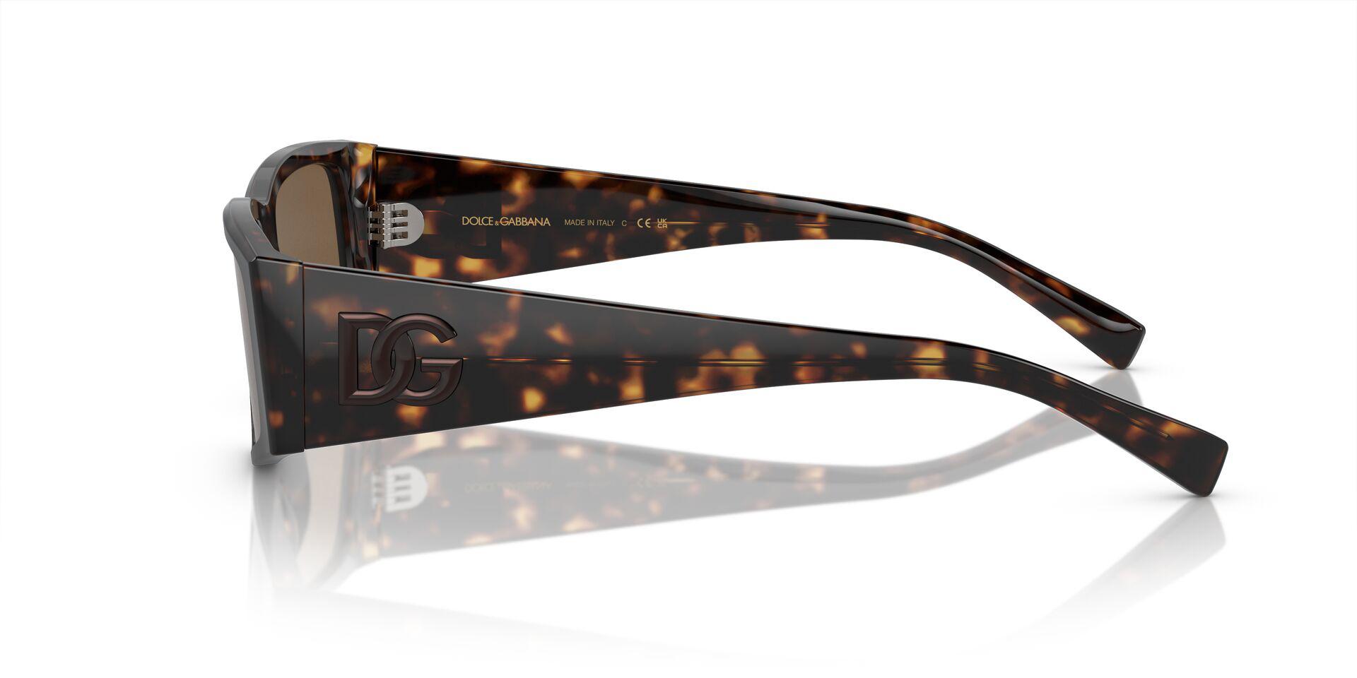 DG4453 Tortoise/Dark Brown M