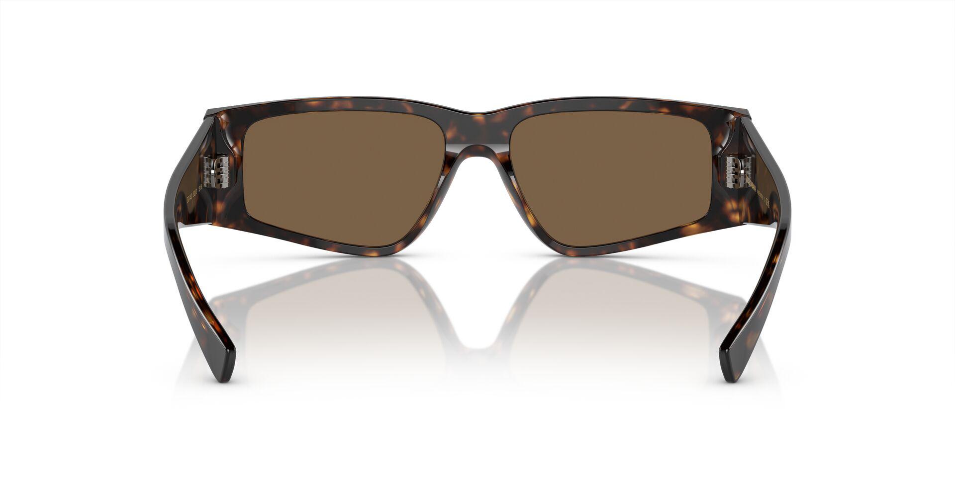 DG4453 Tortoise/Dark Brown M
