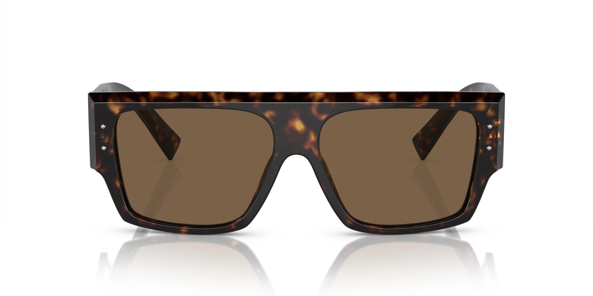 DG4459 Tortoise/Dark Brown M