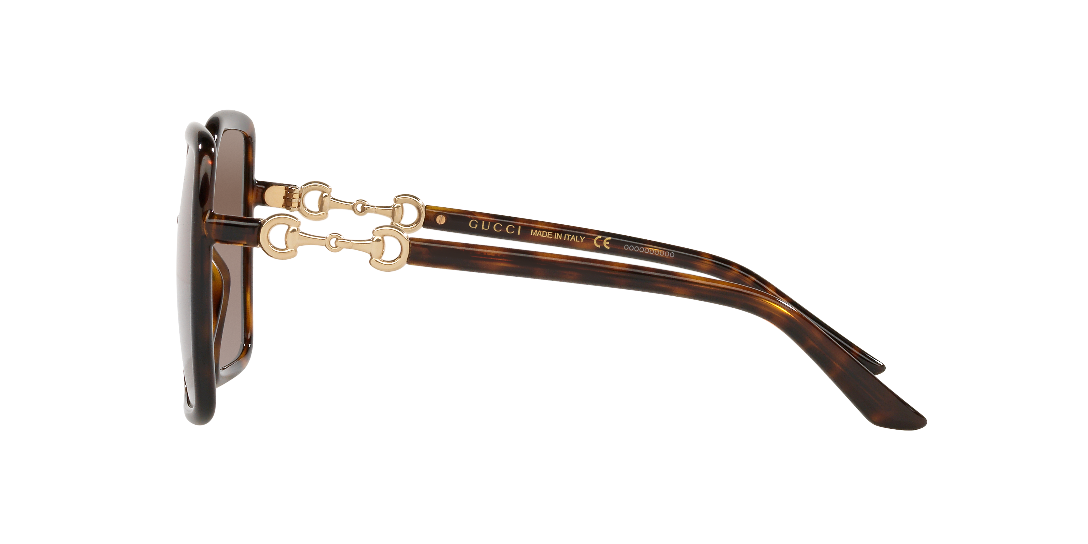GC001516 Tortoise/Brown